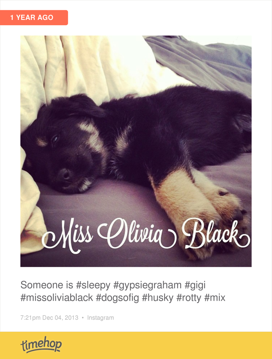 missoliviablack's tweet photo. My little #gypsiegraham 🌸 http://t.co/r8j9VUeV0u http://t.co/2QEfhImO0q