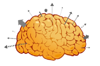 sttrcancer's tweet photo. Find out how to overcome “chemobrain” and more in the @SeattleCCA fall newsletter http://t.co/CJjIreavuW #here2cure http://t.co/LWisGngoi6