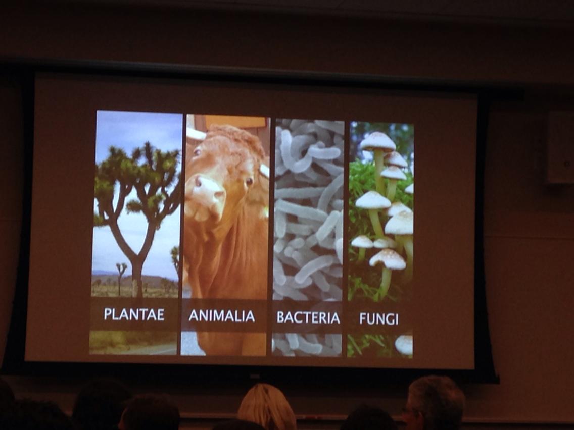 dMASS_net's tweet photo. Quick look at biomaterial classes from @ecovative #biofabricate14 http://t.co/yIA8tavmfS