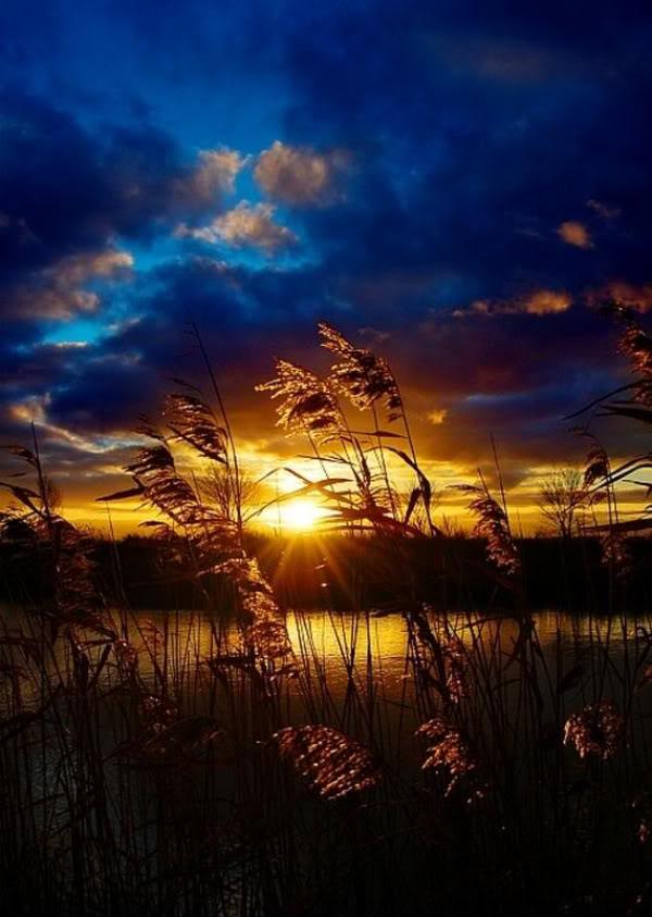 Permalien de l'image intégrée