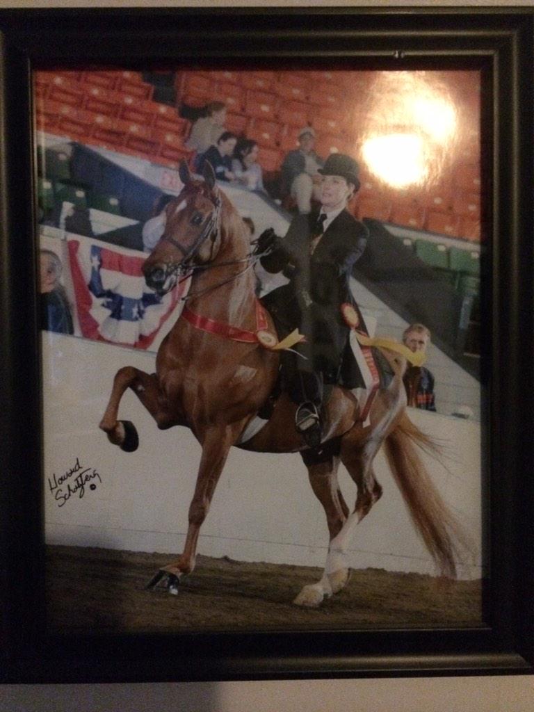 SamCanTweet's tweet image. #TBT me in my showing days. #missdattail