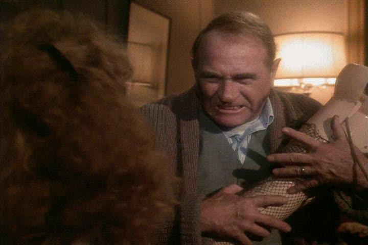 HarborFreight's tweet image. Holiday #ToolQuote - &quot;You used up all the glue on PURPOSE!&quot;

(pssst... we got glue: bit.ly/1CJb4r9)