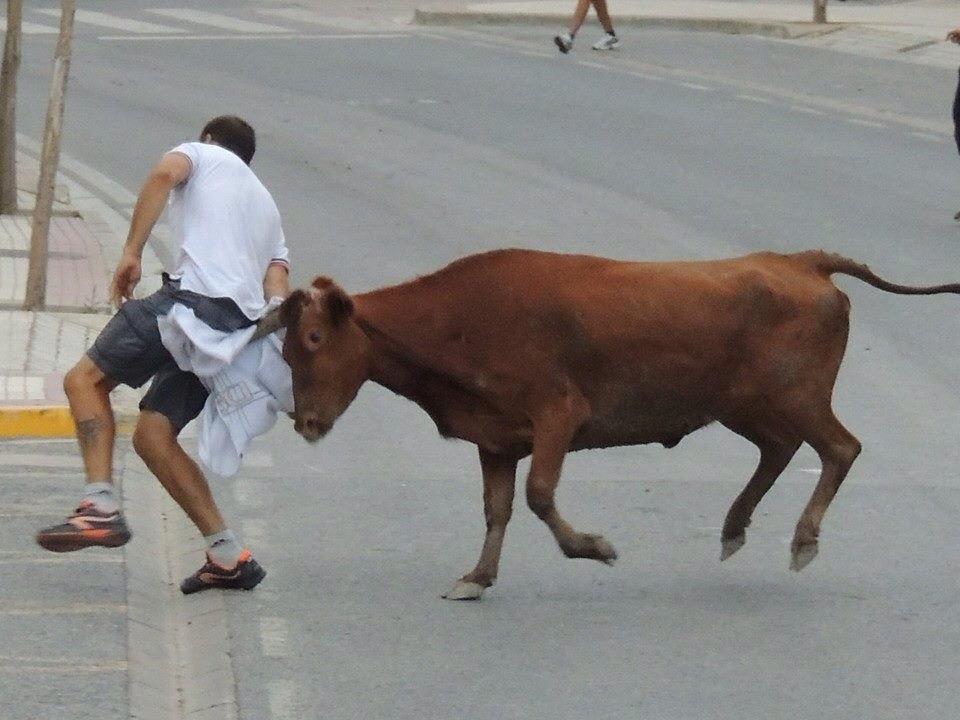 pedropittdj's tweet photo. Buenos momentos buenos recuerdos de esta temporada 2014 en Fustiñana, Fitero, Ribaforada y en especial en Valtierra http://t.co/loxR8UOLAS