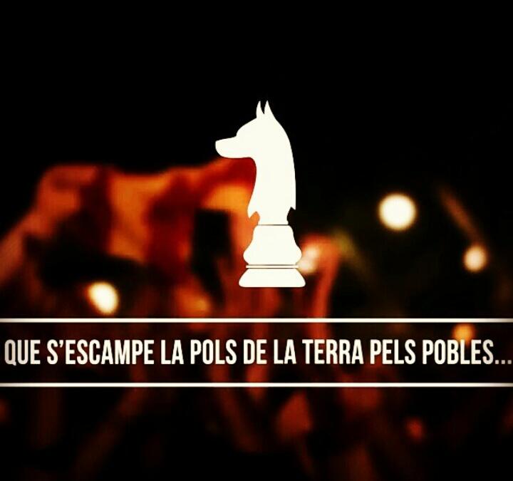 Paau tweet media