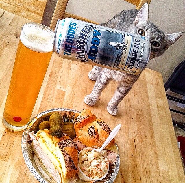 thedudesbrew's tweet photo. It's always good to keep someone around who can pour your beer for you! #thedudesbrew #craftbeer #helpfulpets http://t.co/lsU3Z9SZHU