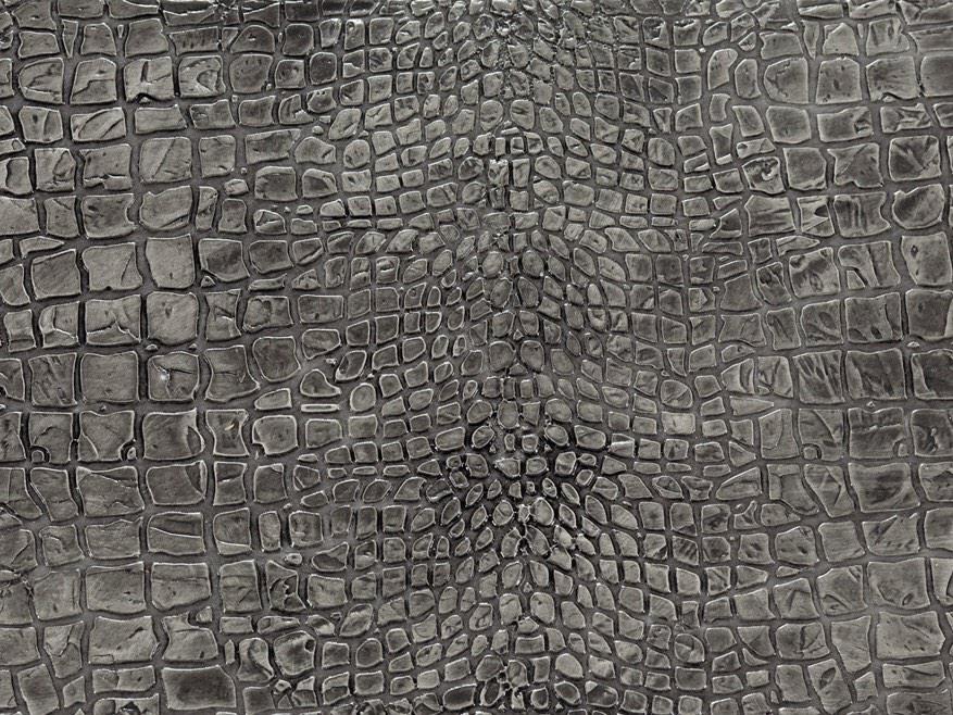 TEN_NAPEL's tweet photo. Feest bij @TEN_NAPEL Vanmorgen is de krokodil Betonlook geboren in 130 kleuren verkrijgbaar #croc #wall #creations RT http://t.co/GB7Q1Q1j5r