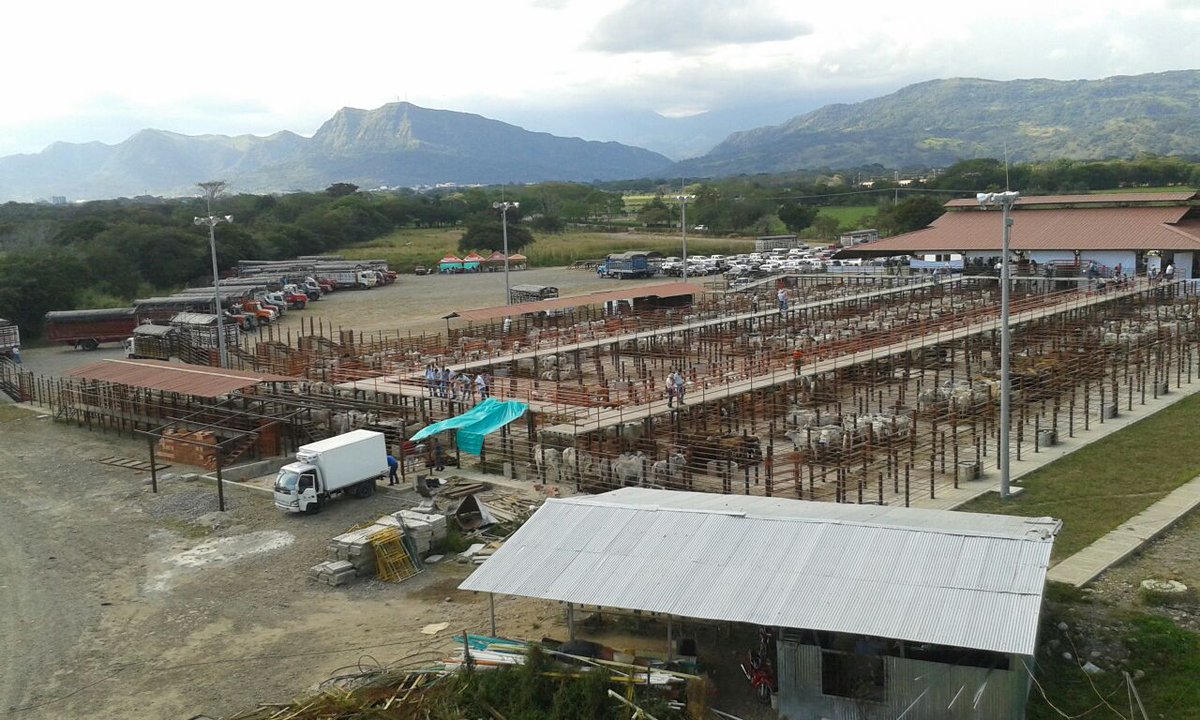 Subacasanare's tweet photo. Subasta 860 en las nuevas instalaciones http://t.co/X4v61Oz6Qd