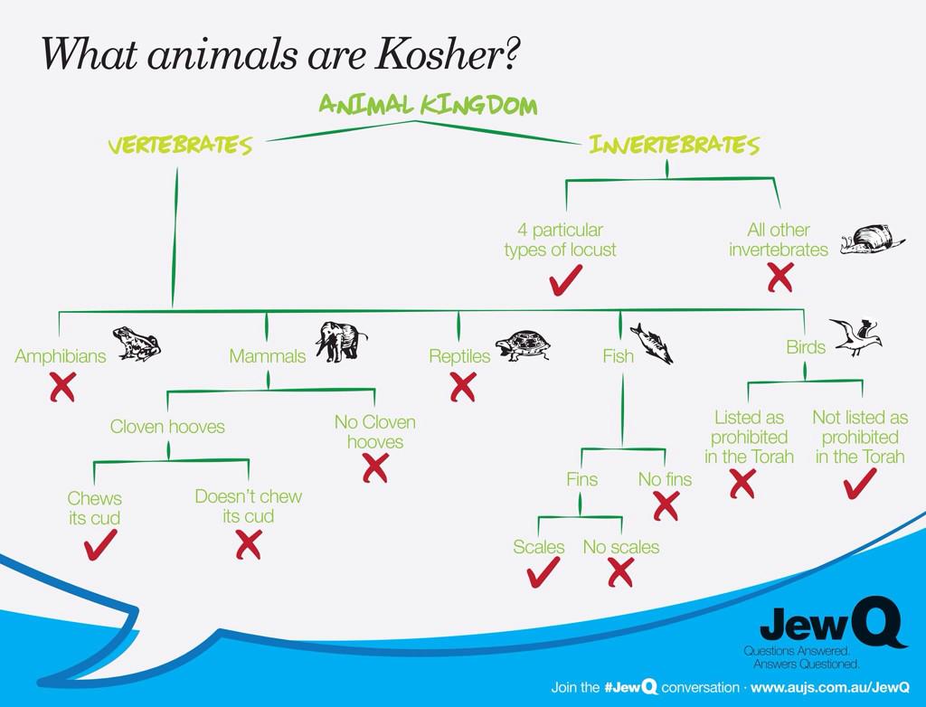 leoralin7's tweet photo. @AUJS  #JewQ amazing new campaign #checkitout #jewish #kosher #identity #students #creative   @deansherr @rachflit http://t.co/EsEW7BzI6K