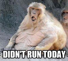 _ShitRunnersSay's tweet photo. Accurate. http://t.co/ItFfONjsoW