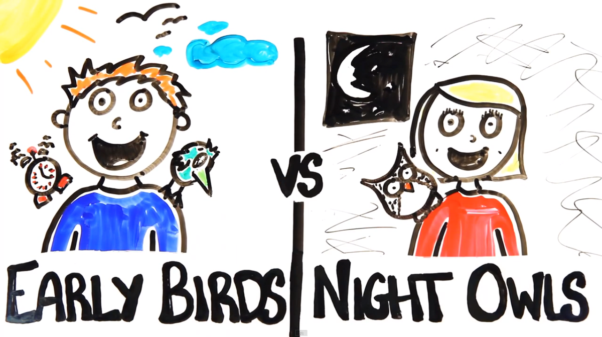 ScienceChannel's tweet image. The science of early birds vs. night owls bit.ly/15RgHVL #SCI2