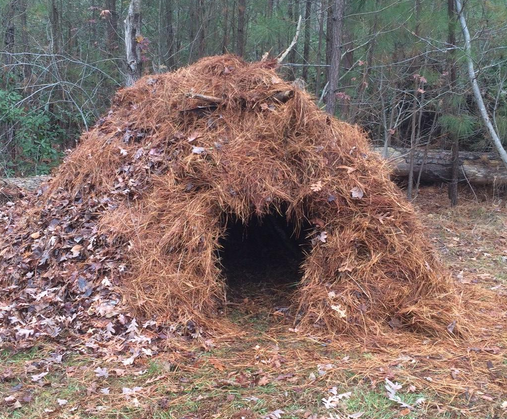 MarcinKorbut's tweet photo. @Tom_VanDee take a look at this #DIY debris shelter. http://t.co/4QuTJJxUpo