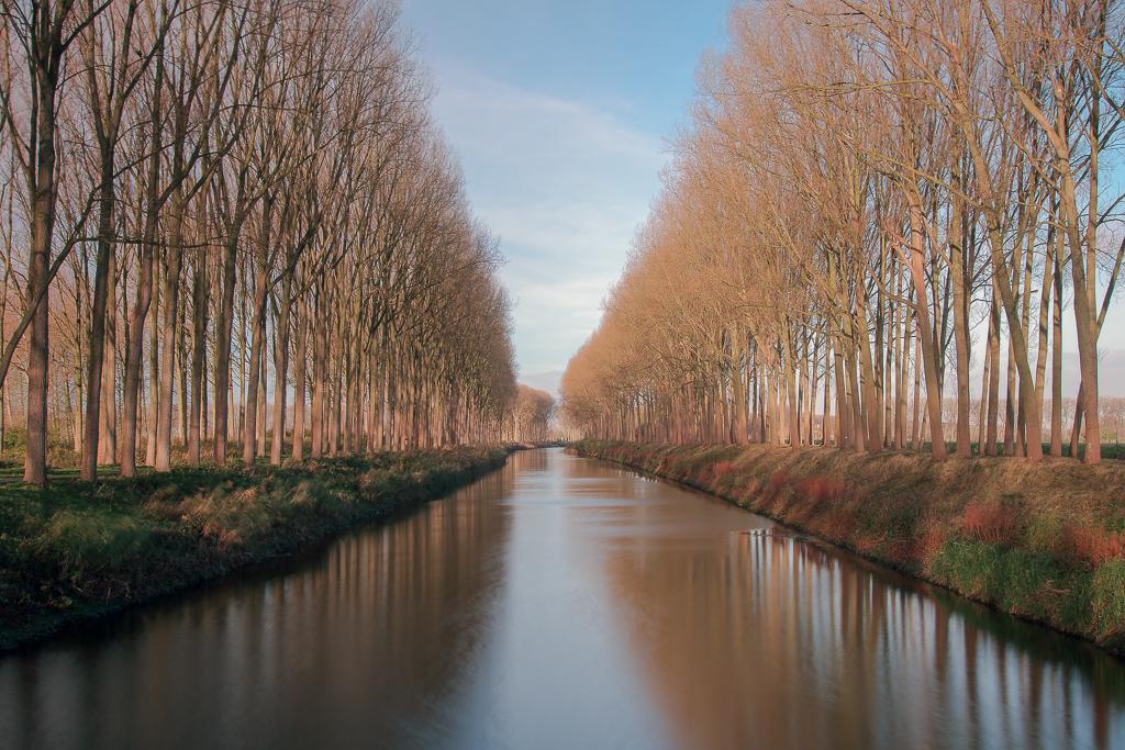 Permalien de l'image intégrée