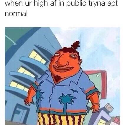 Potographers's tweet image. #highholidays