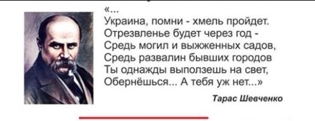 Стихи шевченко об украинцах. Стихотворение Тараса Григорьевича Шевченко про Хохлов.