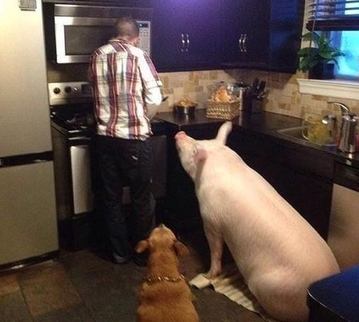 AndyIceIce's tweet image. Обычная такая ситуация