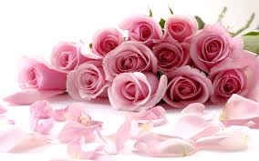 Via_Flores's tweet photo. Floricultura internacional http://t.co/kVXavFsWDE http://t.co/cpZCJW4cZ3