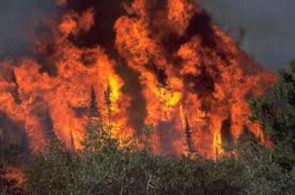When you hand Bigfoot the aux cord