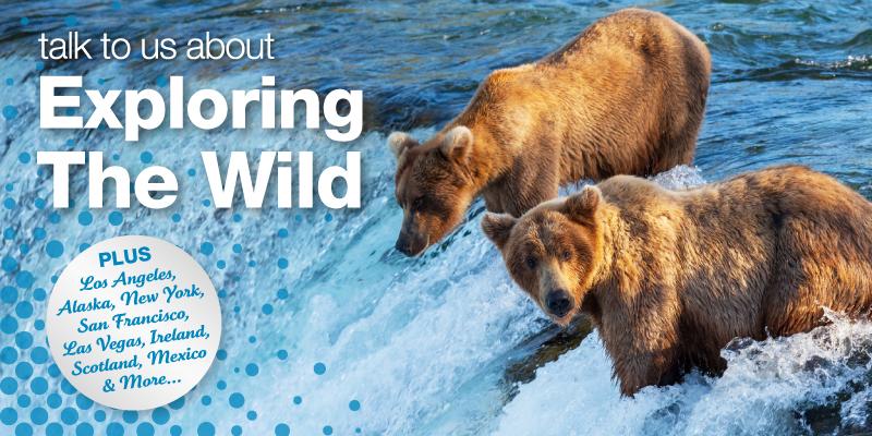 Talk to us about Exploring The Wild ★ Los Angeles, Alaska, New York, Scotland, Mexico &amp; More glynde.italk.travel/exclusive/talk…