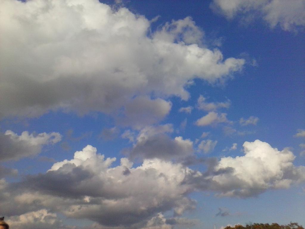 cloudedream's tweet photo. http://t.co/M1d40uPg2j