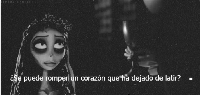  ~Frases~ tweet media