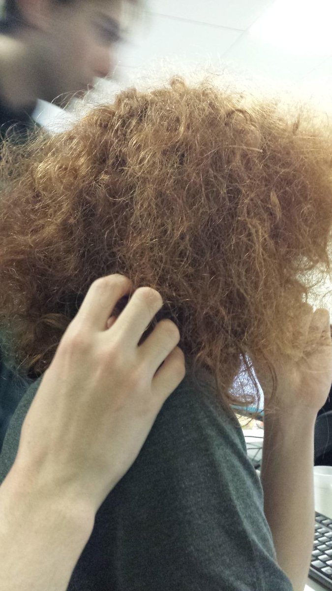 SoftQuiPeut's tweet photo. C'est une photo de face #chewbacca #nuitinfo http://t.co/SE8gf36wm8