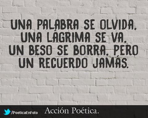 patadademulamx's tweet photo. http://t.co/uk3NYBsUHM
