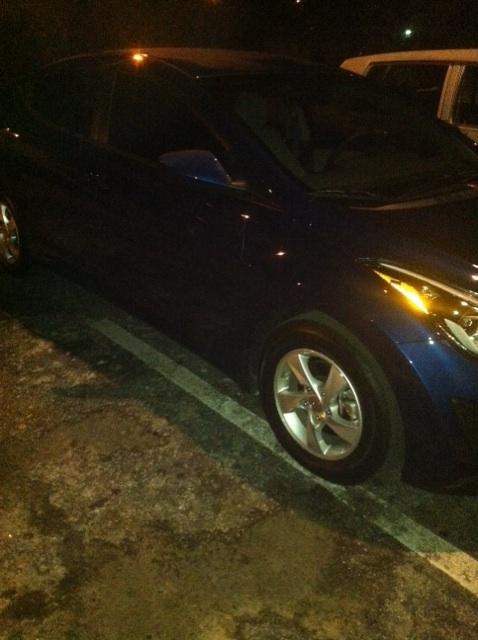 Amannax's tweet photo. "@Smeezy_904: Clean “@Tip_So_Topnotch: My Lil Blue ... 💙 http://t.co/stg7EziZsg”"or I'd say its doppie