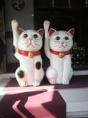 あなたに幸運をよぶ画像 Zahudlea Twitter