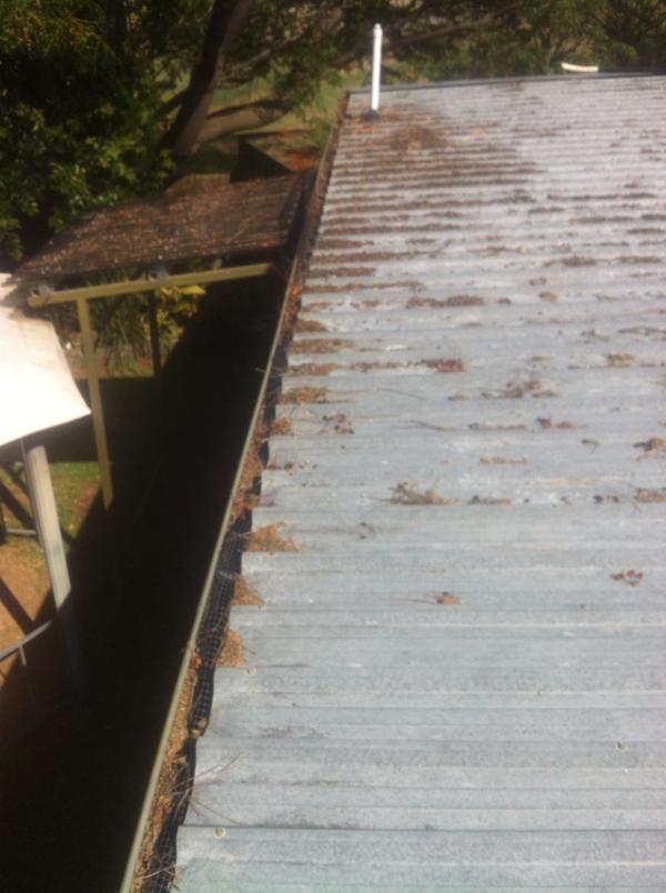 bordergutters tweet picture
