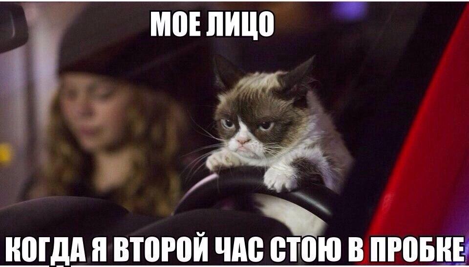 Forsag36's tweet image. 