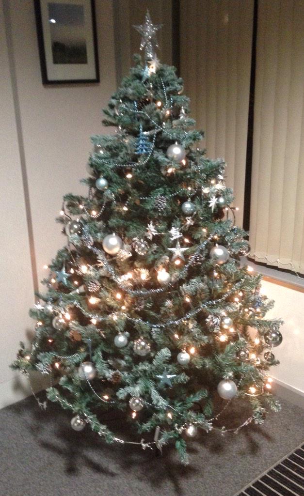 Global_Laser's tweet photo. The Christmas Tree is up and the office is looking rather festive! http://t.co/HmyFWOiIpB