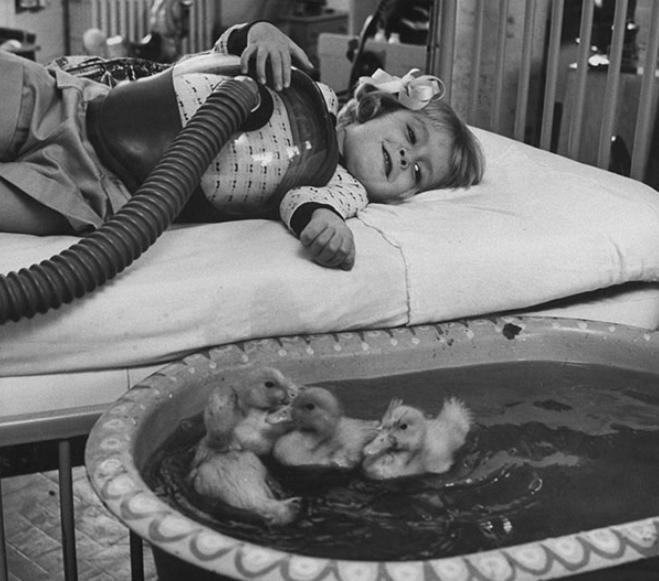 HistoryInPicz's tweet photo. Animals being used as part of medical therapy, 1956. #History #HistoricalPictures http://t.co/HvTxmlDYV7