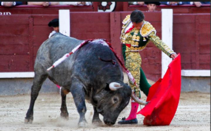 Javitaurino__'s tweet photo. Espero que la temporada del 2015 las empresas sepan ver lo que @urdialesweb se gano en el ruedo. http://t.co/7IP6JgWMe4
