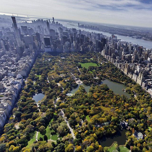 NYonAir's tweet photo. πβ¨ Book a photo experience flight today! πβ¨ #Instaflights http://t.co/JAZuDbq2WP @paulganun flown by @355heli http://t.co/8iYN2oNdrD