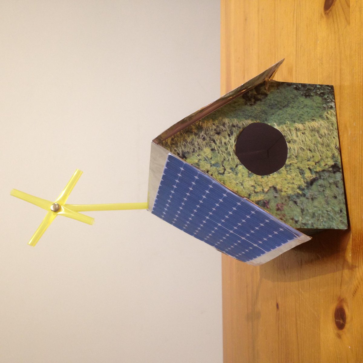 VickyG_101_'s tweet photo. Introducing the Eco-Friendly Bird Box. #buildabirdbox competition @BarrattGrads http://t.co/SWTnRQK0ID