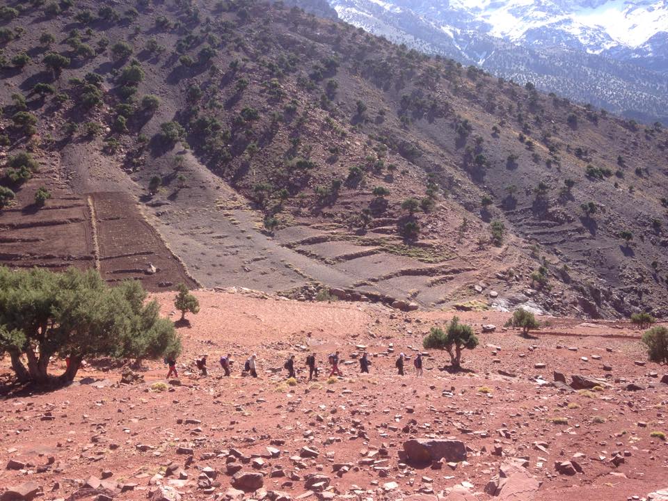 4 (UK) Brigade 🇬🇧 tweet media