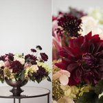 Photo by Sarah Ahluwalia | Saal Design (@SaalDesign)