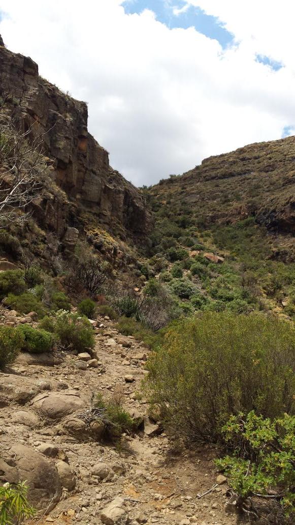 Another little pic of #FLYINGSHEPHERD PASS on the silver route. #Beast #SurvivalOfTheFittest