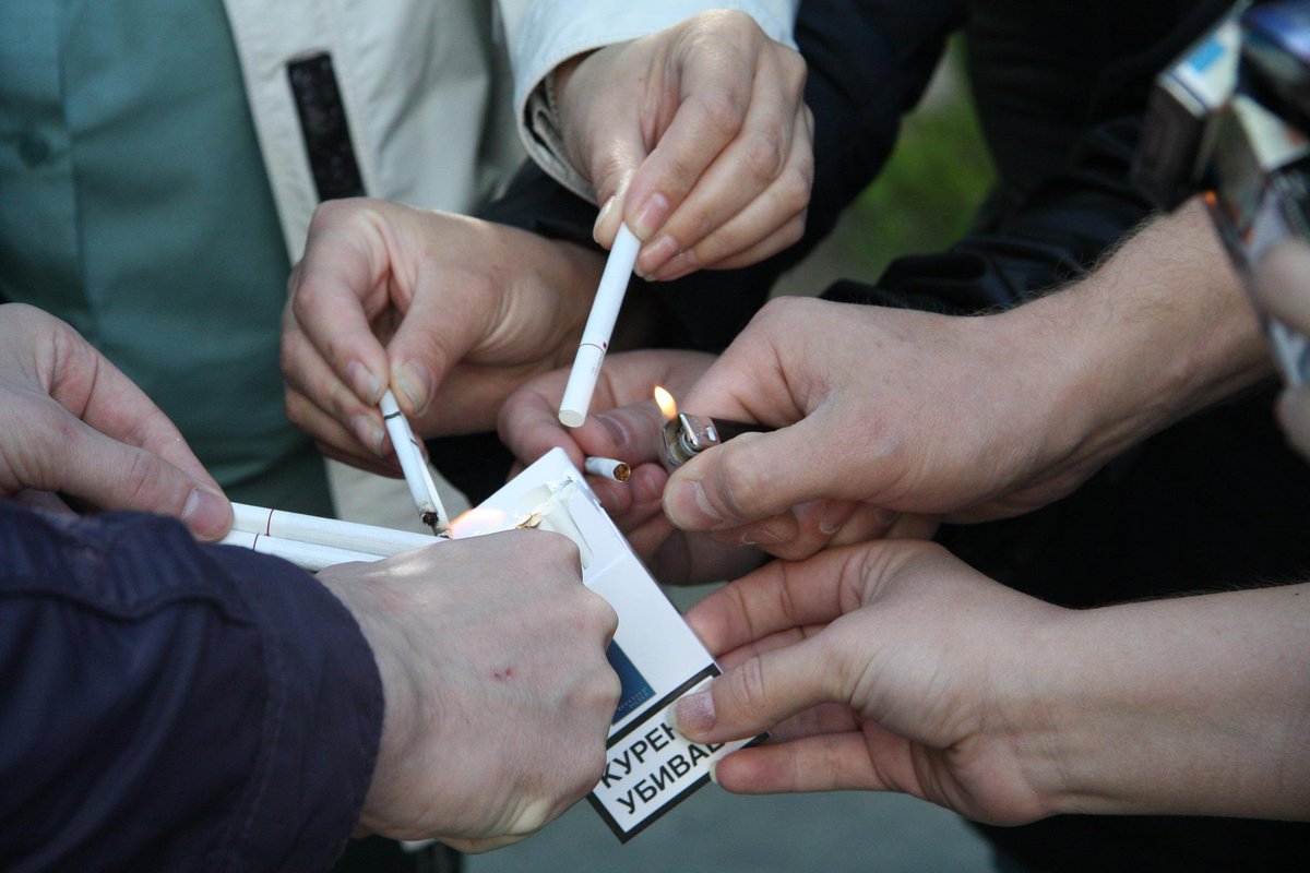 Госслужащим продлили. Правительство россии мишустин. Госслужащим продлили. Госслужащим продлили. Госслужащим продлили.