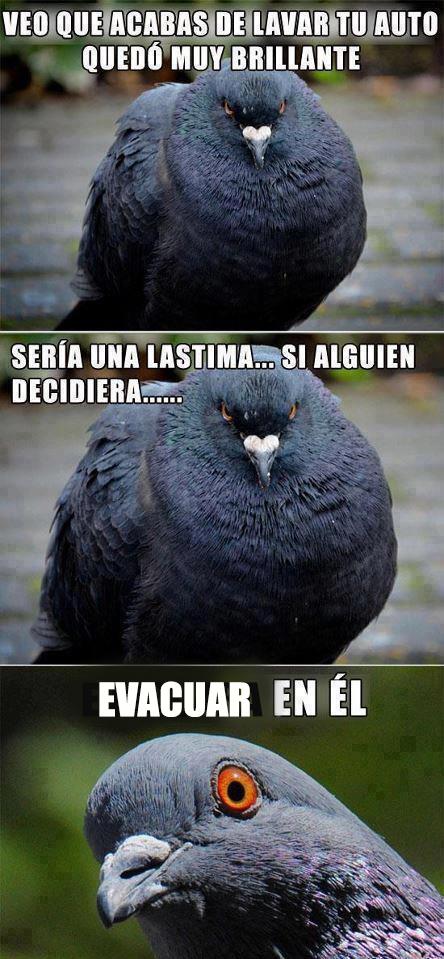 Todos los Viernes son de #HumorHyundai