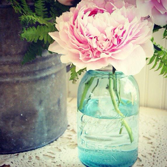 be_jarred's tweet photo. "I'd rather have flowers on my table, than diamonds on my neck" -Emma Goldman #QOTD http://t.co/KCv8AYg7ni