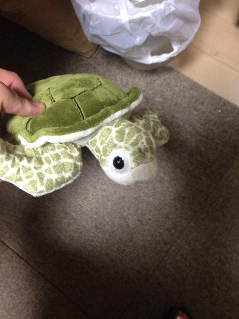 美ら海水族館のお土産で人気なのはぬいぐるみ 1番人気は 子連れ旅行を楽しむ鉄板ブログ もう国内旅行は迷わせない