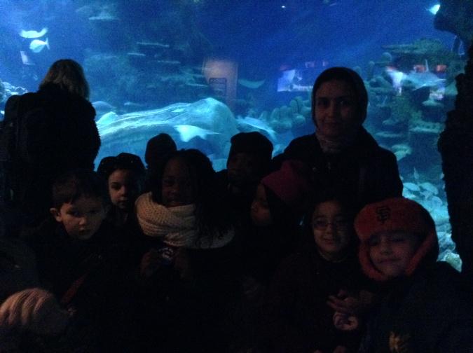 Kender_Y2WL's tweet photo. Thanks to Hiba's mum and all our parent helpers. http://t.co/5JgCxCSFpC