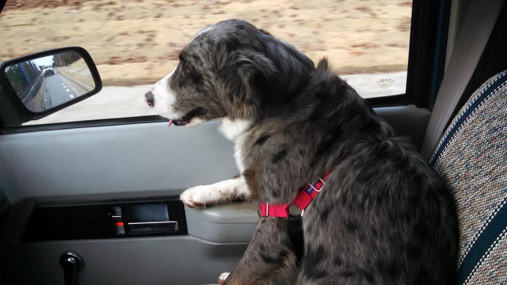 diacrete's tweet photo. It's nice to share a ride with a friend. http://t.co/pp48xKzf1h