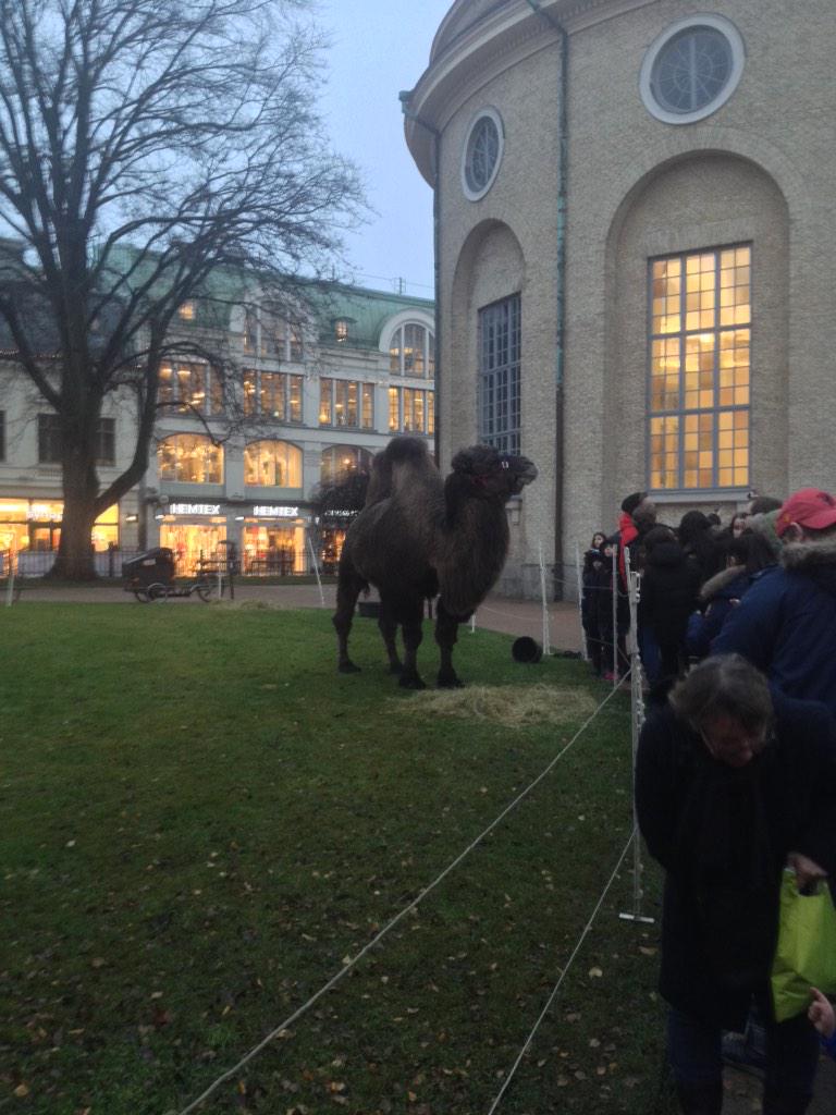 Laxtrappa's tweet photo. Nu vet man att det är jul i Gbg http://t.co/Ts1fAQhQon