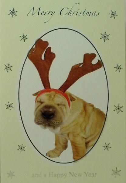 TJSCards's tweet photo. Monday 8th Dec is the last posting date for Cyprus, Eastern Europe &amp; Greece - don't miss out! http://t.co/vvbQWHlGKA http://t.co/MyyKmzTOuh