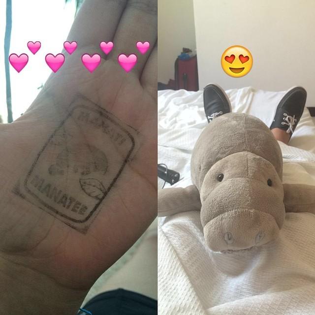Veromntiiel's tweet photo. i couldn't swim with them but at least i got one stuffed manatee ☺️
#manatee #animals #love #favanimal #stuffed #... http://t.co/RWGN00HREV