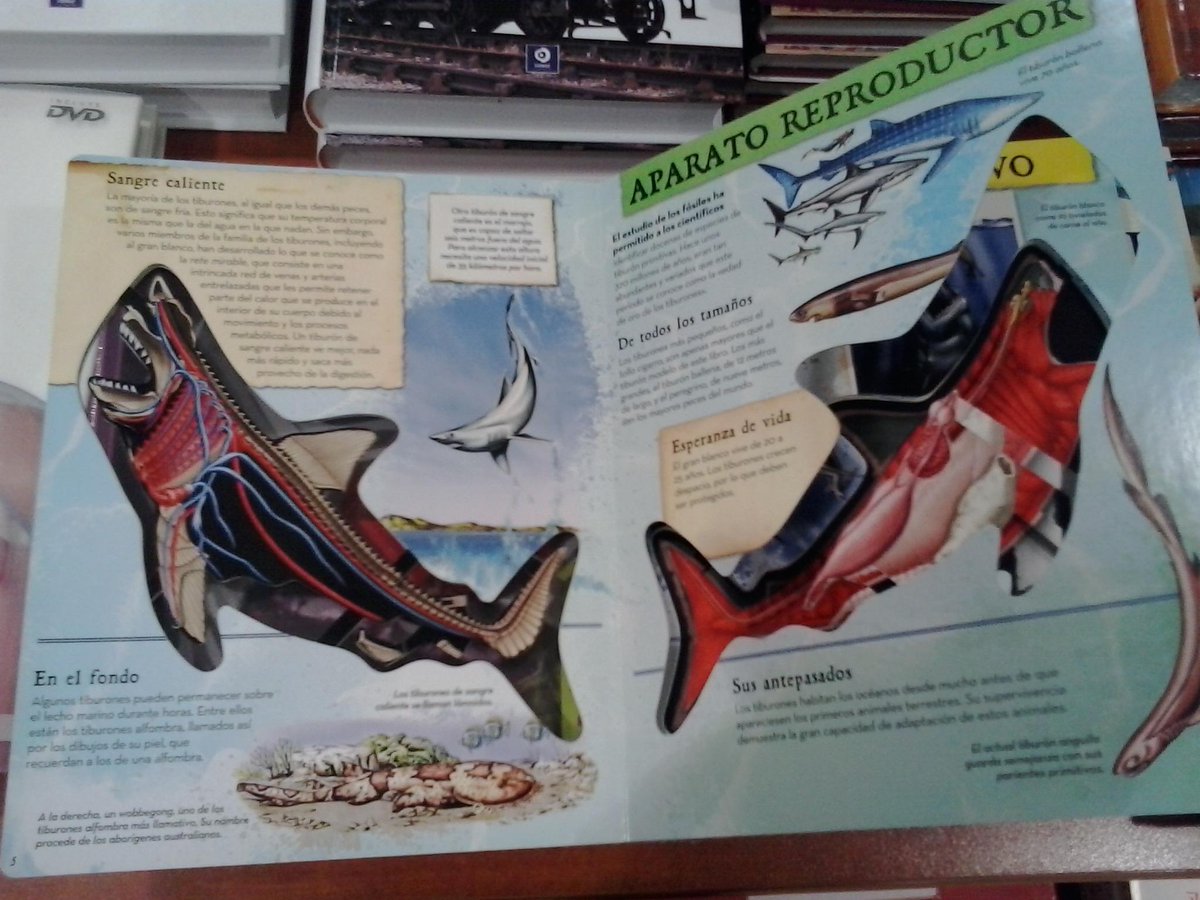 OFERWORLD's tweet image. EN @OFERWORLD LIBROS INCREIBLES