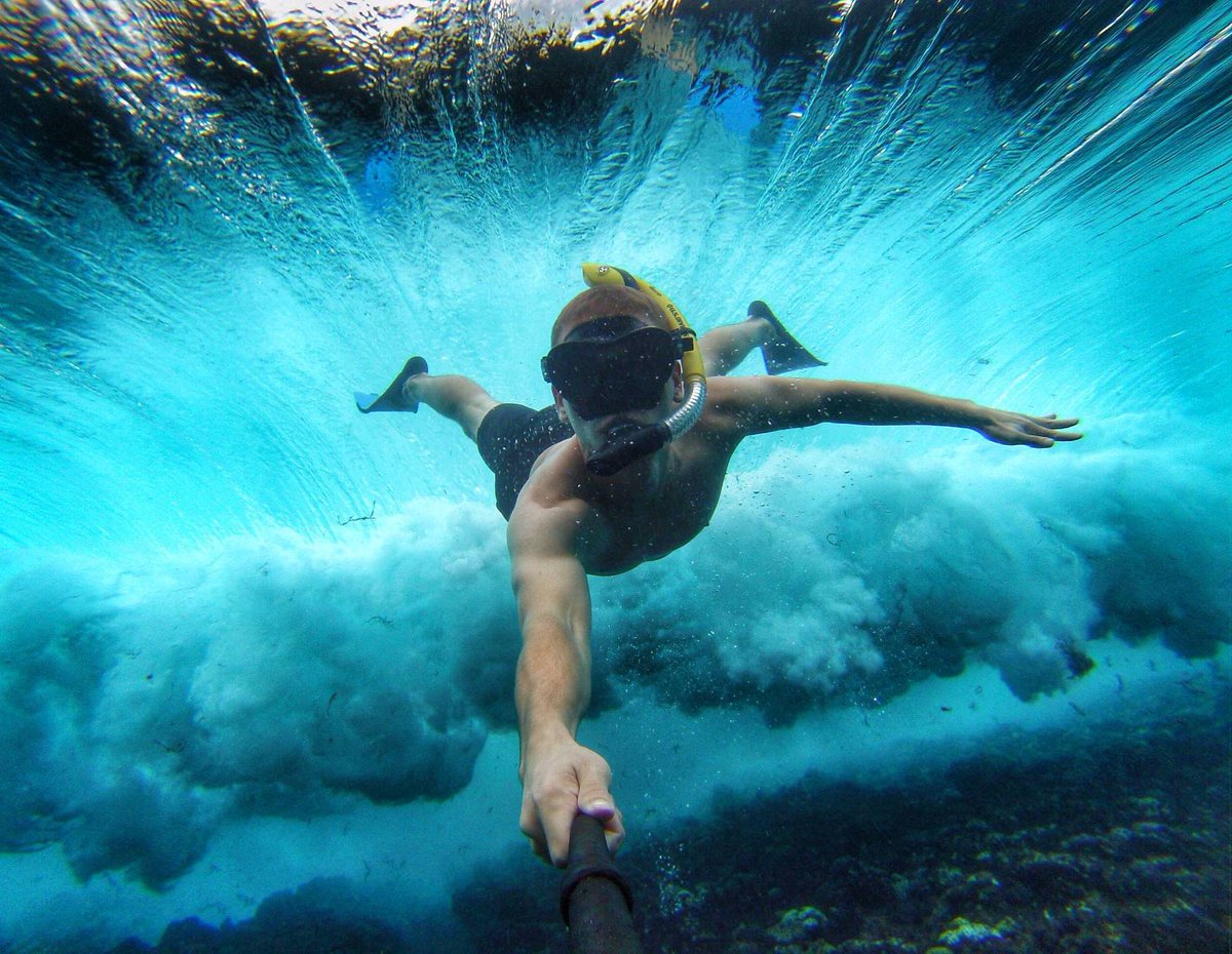 Go Pro Indonesia tweet media