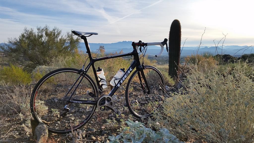 grantham_jacob's tweet photo. @RideMMC @TrekBikes I had an amazing inaugural ride on my new Trek Emonda SL8 in beautiful fountain hills AZ http://t.co/LHhOquAloU
